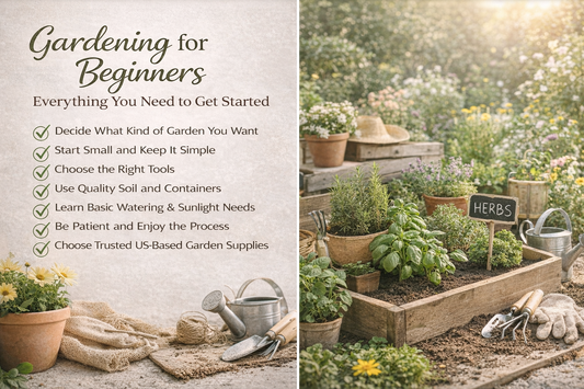 Gardening for Beginners: Everything You Need to Get Started
